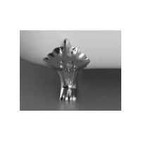app.product-showproduct-thumb